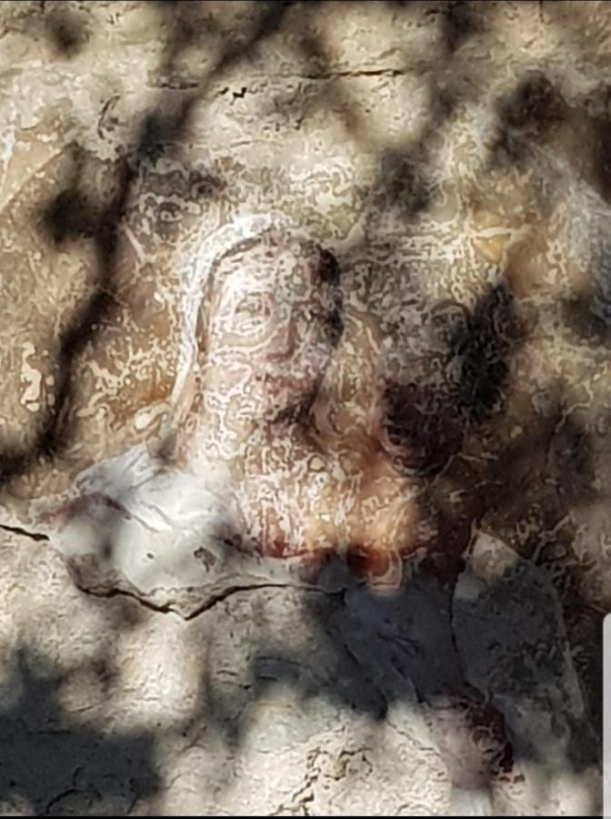 Chambre D'Hote Geiko Cabrieres-d'Aigues Eksteriør bilde